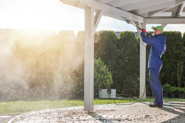 Animal Enclosure Cleaning in Corona, CA